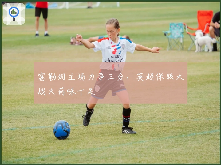 富勒姆主场力争三分,英超保级大战火药味十足