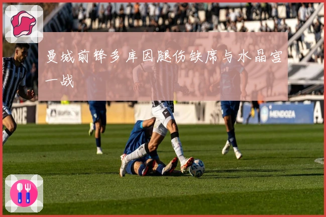 曼城前锋多库因腿伤缺席与水晶宫一战