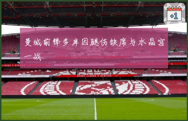 曼城前锋多库因腿伤缺席与水晶宫一战