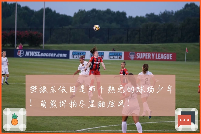 樊振东依旧是那个熟悉的球场少年！萌熊挥拍尽显酷炫风！