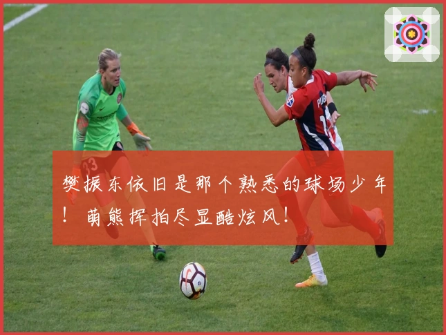 樊振东依旧是那个熟悉的球场少年!萌熊挥拍尽显酷炫风!